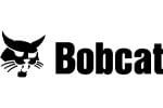 Bobcat